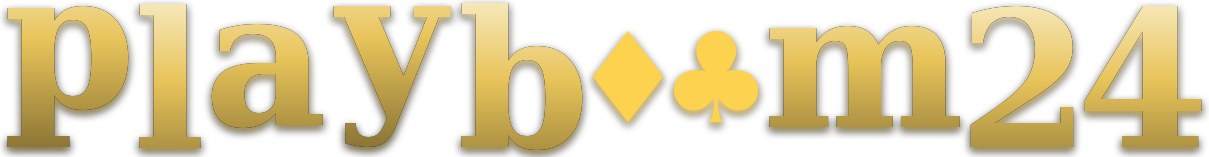playboom24 logo
